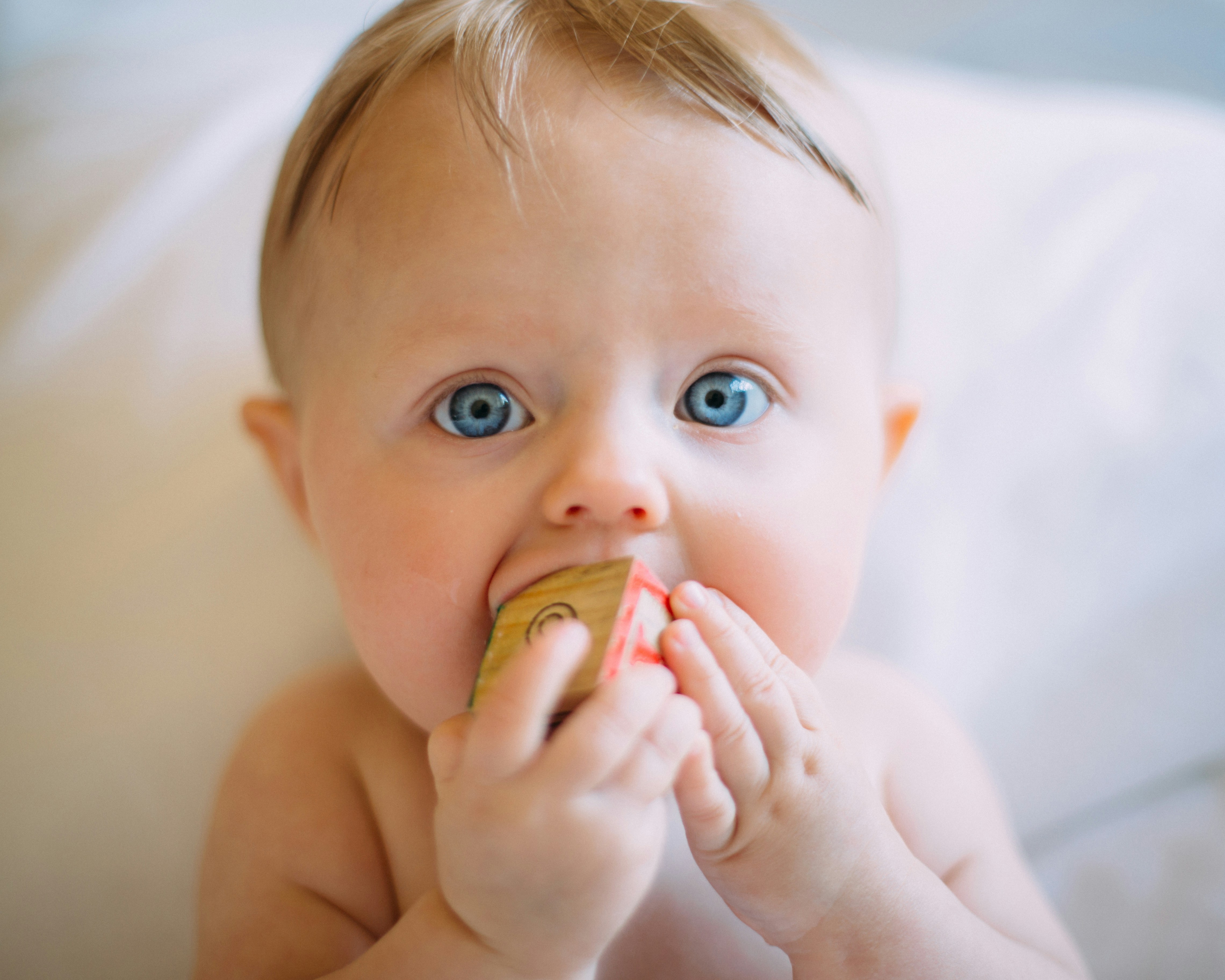 colin-maynard-CEEhmAGpYzE-unsplash (1)